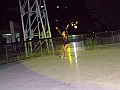 Tania Romano (1)
